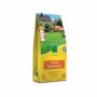 Seeds BHS 10 kg