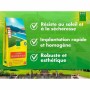 Seeds BHS 10 kg