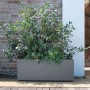 Jardinière auto-arrosante Deroma Gris 99 cm Plastique Rectangulaire