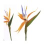 Plante décorative Mica Decorations Oiseaux de paradis 60 x 110 cm Polyuréthane