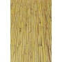 Canisse Faura f1002 1,5 x 5 m