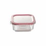 Set of lunch boxes Bergner Walking Anywhere Borosilicate Glass cuadradas Squared 320 ml 520 ml 800 Pages Red