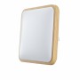 Applique plafond LED EDM 32541 F 18 W 1820 Lm Carré Surface (4000 K)