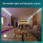 LED strips Philips White (2 Units)