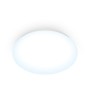 Ceiling Light Wiz White