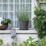 Flower Pot Dish Deroma