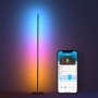 Floor Lamp Govee LED Floor Lamp Black Multicolour 24 V (1 Piece)