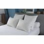 Pillow DODO White 50 x 70 cm (2 Units)