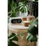 Wall Clock Adler AD 1186w