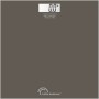 Digital Bathroom Scales Little Balance SB3