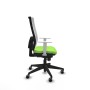 Office Chair Piqueras y Crespo 4B066G0 Pistachio