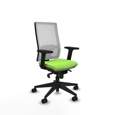 Office Chair Piqueras y Crespo 2D066N0 Pistachio