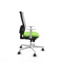 Office Chair Piqueras y Crespo 4B026G0 Pistachio
