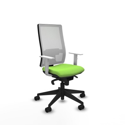 Office Chair Piqueras y Crespo 4B066N0 Pistachio