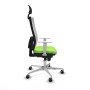 Office Chair Piqueras y Crespo 4B086G1 Pistachio
