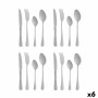 Ensemble de Couverts Argenté Acier inoxydable (6 Unités)