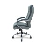 Chaise de Bureau Foröl 671CRRN Gris