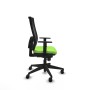 Office Chair Horna Piqueras y Crespo 1D066N0 Pistachio