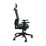 Chaise de Bureau Piqueras y Crespo 3D066N2 Vert