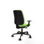 Chaise de Bureau Alares Piqueras y Crespo B1D036N Pistache
