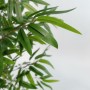 Tree Home ESPRIT Polyester Bamboo 40 x 40 x 180 cm