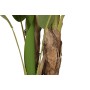 Decorative Plant Home ESPRIT Polyethylene Cement Banana plant 90 x 90 x 290 cm