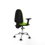 Office Chair Aýna Asincro Piqueras y Crespo B2D05RP Pistachio