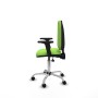 Office Chair Piqueras y Crespo Aýna AS bali pistacho brazos 2D base cromada ruedas nailon 50mm Pistachio