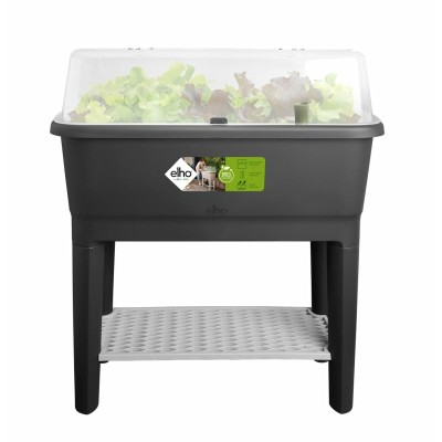 Serre Elho Noir Plastique 78,5 cm