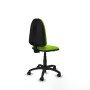Office Chair Aýna Piqueras y Crespo B0001RN Pistachio