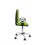 Office Chair Aýna Piqueras y Crespo BFN05RP Pistachio