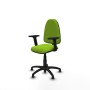 Office Chair Aýna Piqueras y Crespo B2D01RT Pistachio
