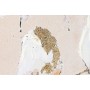 Painting Home ESPRIT White Beige Grey Golden Birds Scandinavian 103 x 4,5 x 143 cm (2 Units)