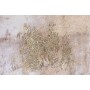 Cadre Home ESPRIT Doré Rose clair Abstrait 103 x 4,5 x 143 cm (2 Unités)