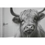 Cadre Home ESPRIT Blanc Noir Animal Vintage 45 x 2,2 x 60 cm (4 Unités)