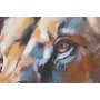 Cadre Home ESPRIT Bleu Orange Colonial Lion 70 x 3,5 x 100 cm (2 Unités)