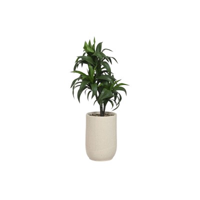 Plante décorative Home ESPRIT Résine Polyéthylène 50 x 50 x 102 cm