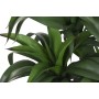 Plante décorative Home ESPRIT Résine Polyéthylène 50 x 50 x 102 cm