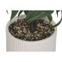 Plante décorative Home ESPRIT Résine Polyéthylène 50 x 50 x 102 cm