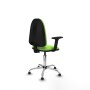 Chaise de Bureau Piqueras y Crespo B2D05RT Pistache