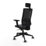 Office Chair with Headrest Piqueras y Crespo 2D066G2 Dark grey