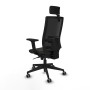 Office Chair with Headrest Piqueras y Crespo 2D066G2 Black