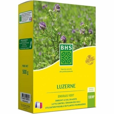 Graines BHS Luzerne