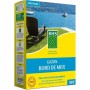 Graines BHS Bord de Mer