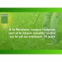 Graines BHS Trèfle Blanc 500 g