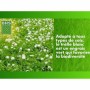 Graines BHS Trèfle Blanc 500 g