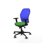 Chaise de Bureau Piqueras y Crespo 2D036G0 Vert