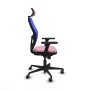 Chaise de Bureau Piqueras y Crespo 3D036G2 Rose