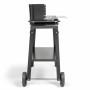 Barbecue Portable Livoo Stainless steel