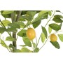 Tree DKD Home Decor Lemon tree Polyester polypropylene (90 x 90 x 180 cm)